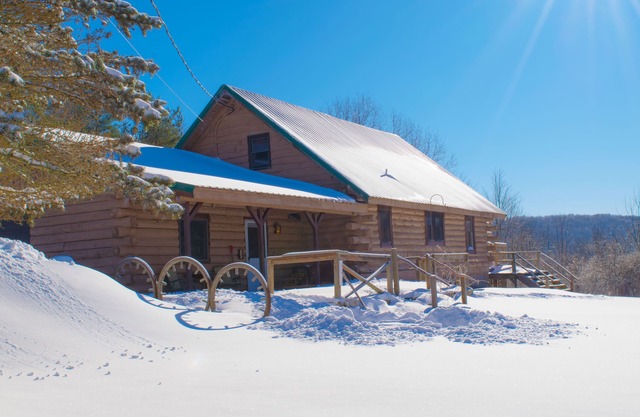 Fieldview - a Rustic Retreat Near Ellicottville!