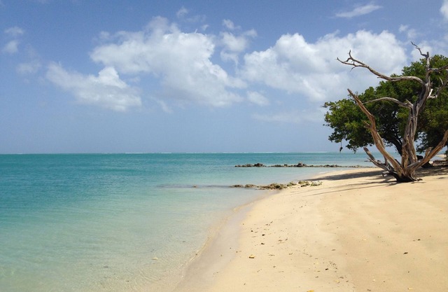 Fish Tobago Guesthouse
