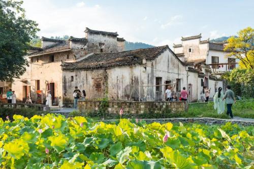 Floral Hotel Xidi Jiuheboshe B&B