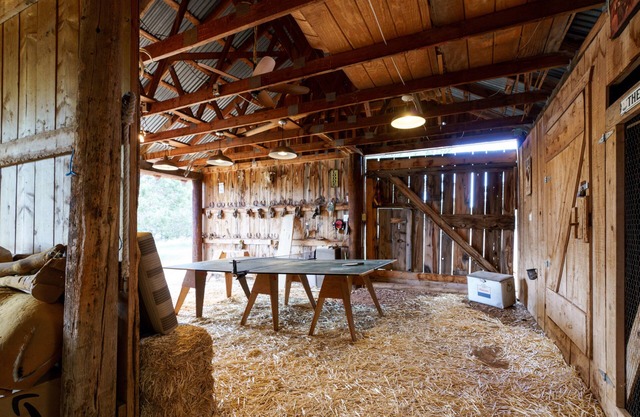 Flying Fox Ranch - Cabin on 15 Acre lot w/Tree Fort, Social Barn & Forest Access