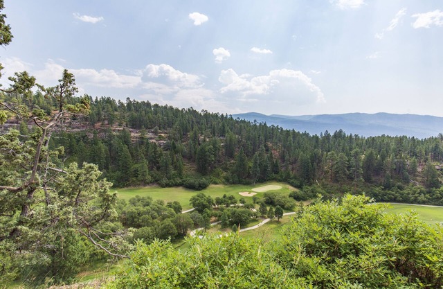 FORE THE VIEWS!
