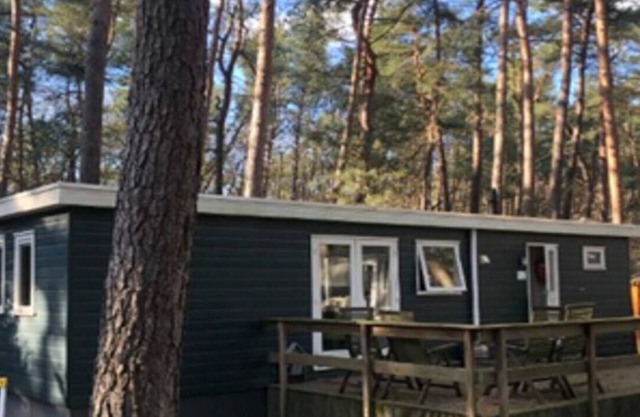 Forest Chalet, Antwerp