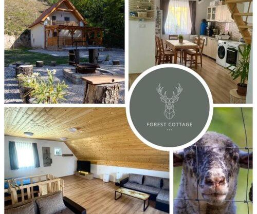 Forest Cottage 2024