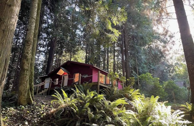 Forested Cottage in the Woods, near Olympic Park