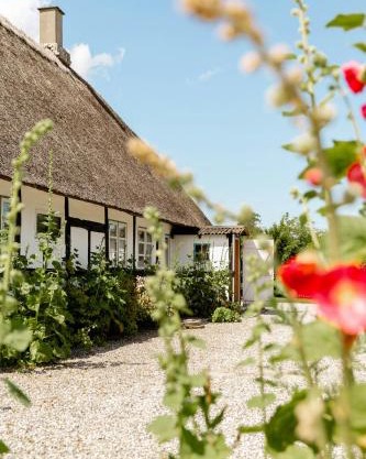 Forester's House By The Forest And Lake