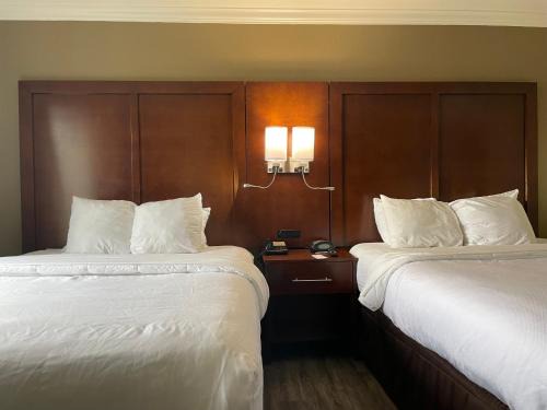 Forestpark Suites
