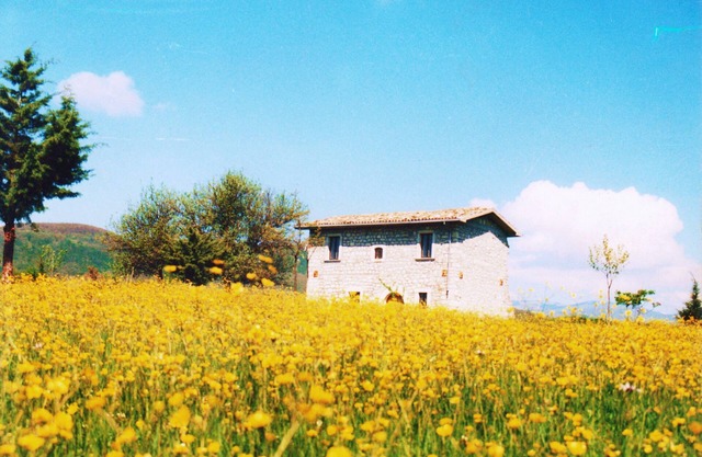 Forli Del Sannio: Mansion - Forlì del Sannio