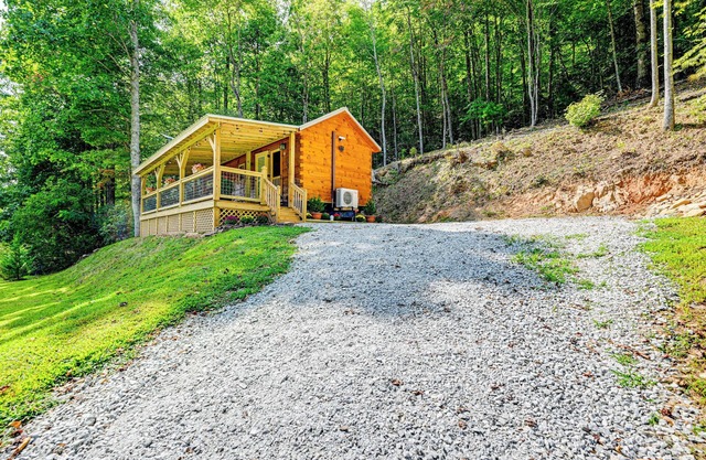 Franklin Cabin w/Creek Access: Hike & Fish!