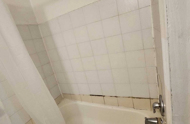 Fully furnished 1 bedroom apartment at Kingston and Warden in Toronto