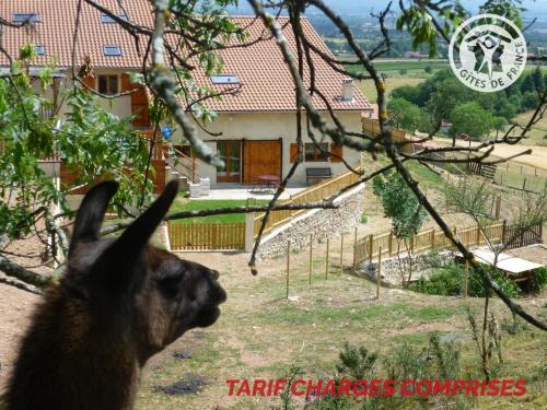 Gîte chaleureux aux Lamas, WiFi, Animaux admis - FR-1-496-23