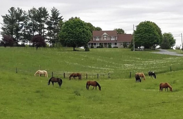Galloping Getaway on the rolling hills of GemStone Stablen