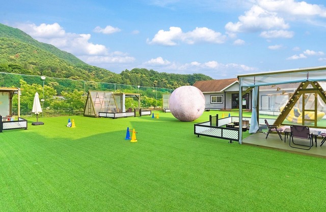 Gapyeong Dangdangi Pet Pension Green