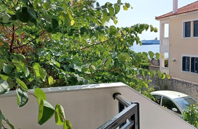 Garden Seaview Luxury Apartment with private parking