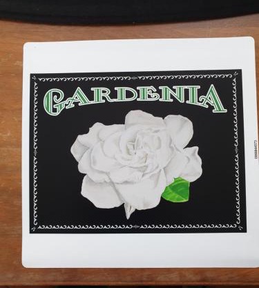 Gardenia