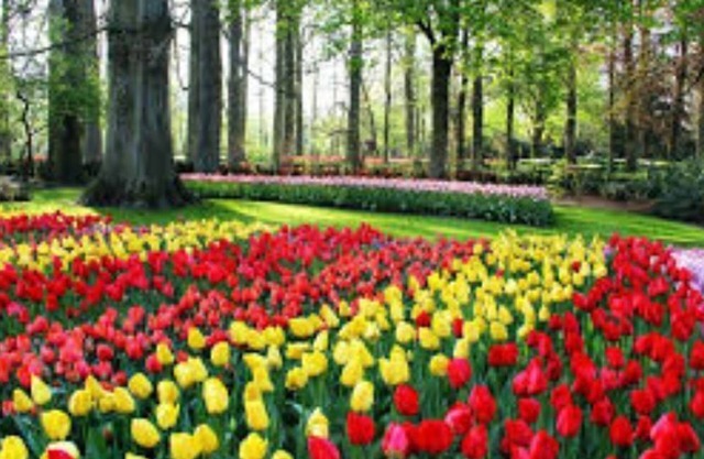 Gated upgraded estate home 5050 SF with pool 5-Bed 4.5 Bath 3-car garage