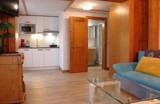 Gemütliche Studio Mitten in Schruns