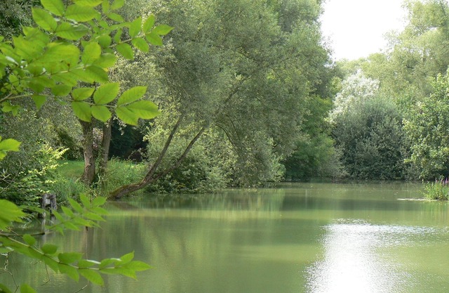 Gîte and pond access
