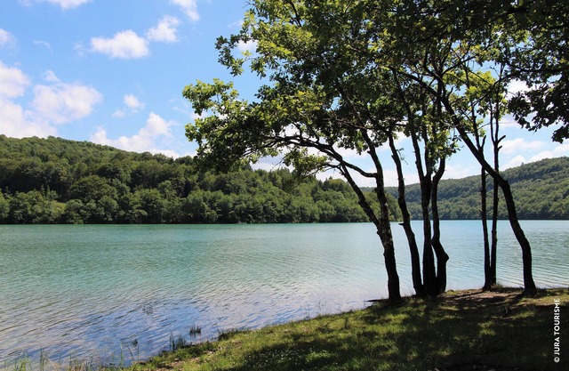 Gite du Lac - Lake Vouglans