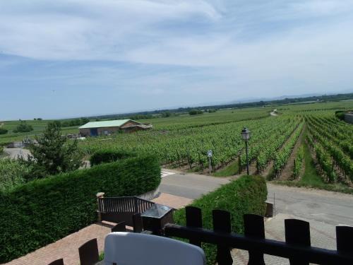 Gite "le vignoble " 2 pers coté vignes