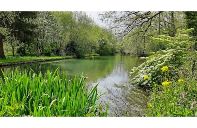 Gite Pyrenees full nature - jacuzzi - 4/5 pers.