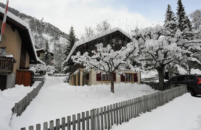 Glacier Views & Ski Trails