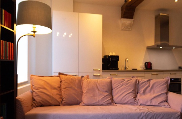 GOG B - Cozy Lofts Haarlem