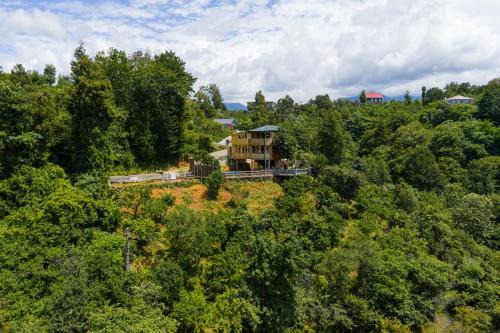 GoldenSeaView TreeHouse with Small Private Pool