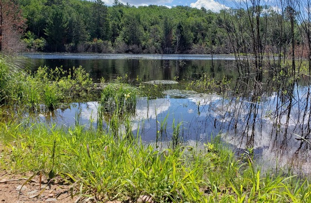 Gordon's Gateway Private Campsite