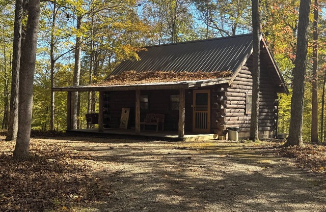 Gorgeous Cabin surrounded by wildlife!