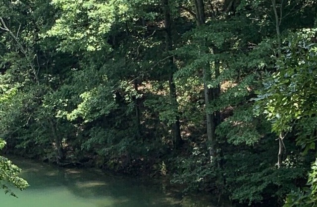 Gorgeous Renovated Lake Front Home on Lanier sleeps 12, w dock, steps to water