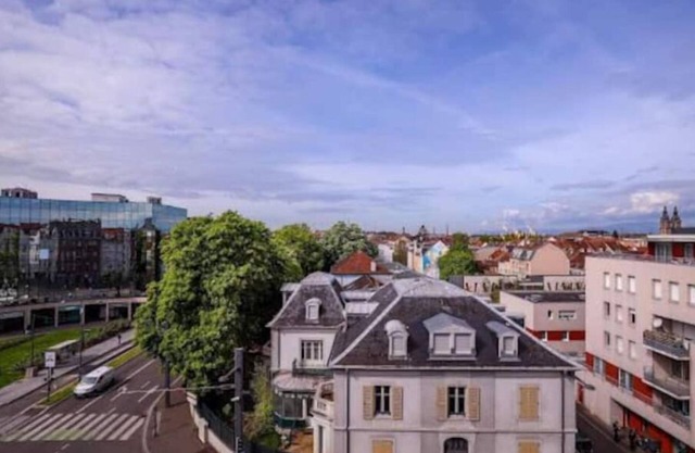Grand Appartement à Mulhouse