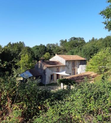 Grand gîte dans son écrin de Nature