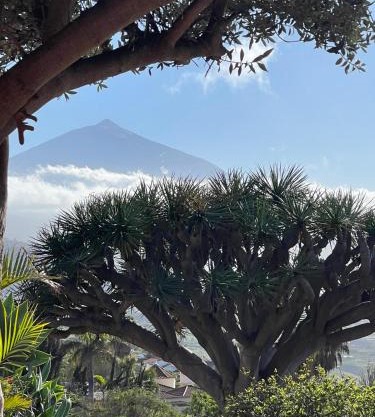 Great views & heated pool - El Perenquen 5