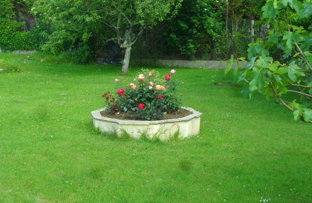 Green gite in a quiet location in the cotentin region