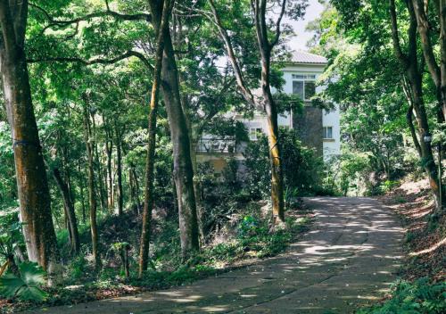 Green Wave Sanyi BY REINDEER