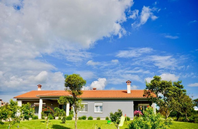 Ground Floor Apartments With Spacious Backyard
