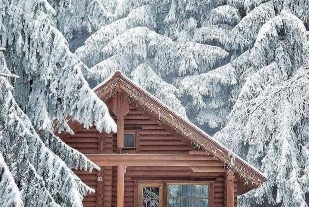 Guest House Qhq