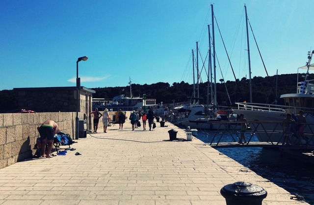 Guest house Tonka- kuca za odmor Tonka na prekrasnom otoku