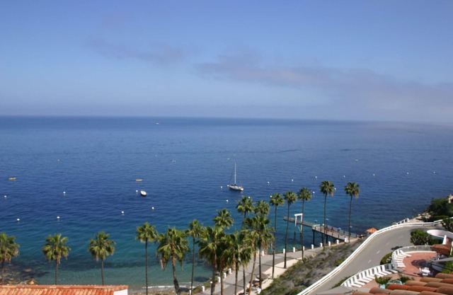 HamCove Full Ocean View GolfCart,WIFI,BBQ,A/C,rare,Smart TV Pool,Gym,OceanClose!