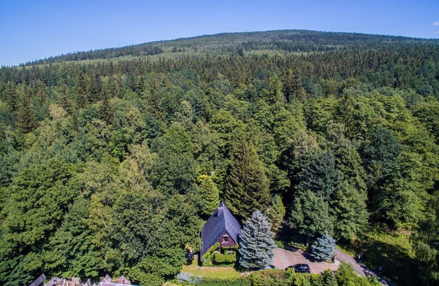 Hanna House - a forest oasis of peace and relaxation