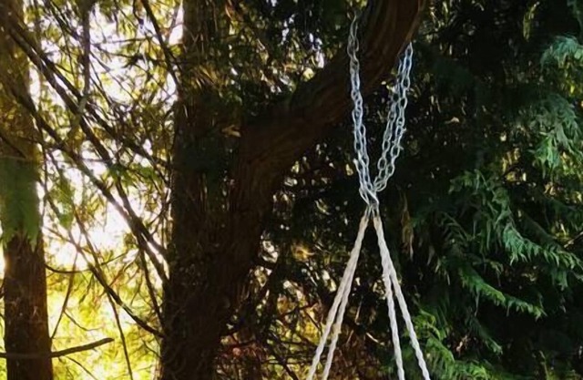 Happy Bell— Vancouver Island