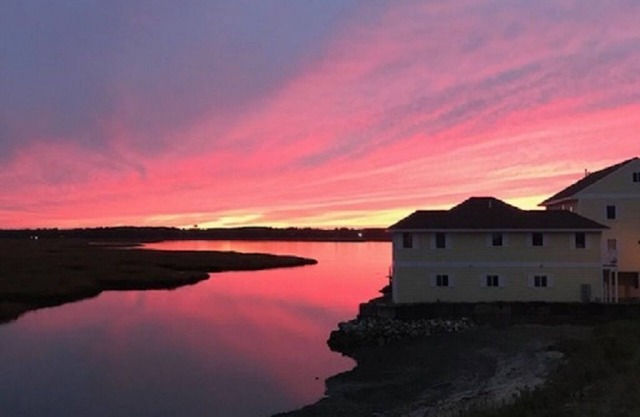 Harbor views and beach! Sunsets! Walk to restaurants, coffee shops, yoga, beach