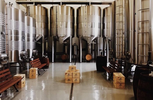 Haribo House sitting in the treetops