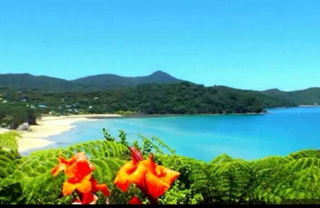 Hawaiki cottage - Fantasy Island