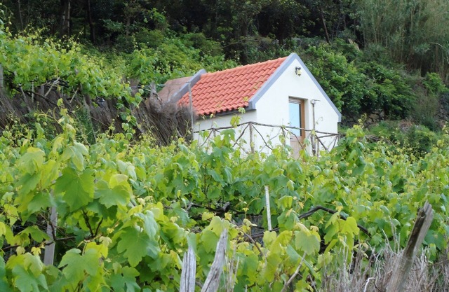 Haystack - Family Garcês