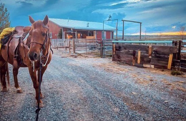 Heart Strings Ranch- Nestled on the Eastern flanks of Heart Mountain, near horses!