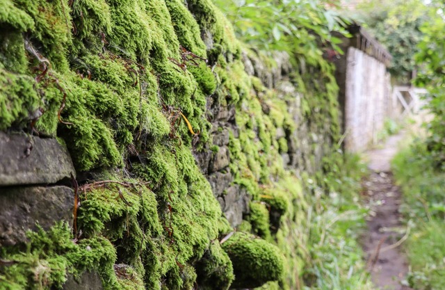 HIGHVIEW, pet friendly, with a garden in Haworth