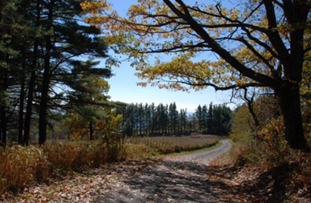 Historic Stone "Chalet Switz" a mile from center of Little Switzerland