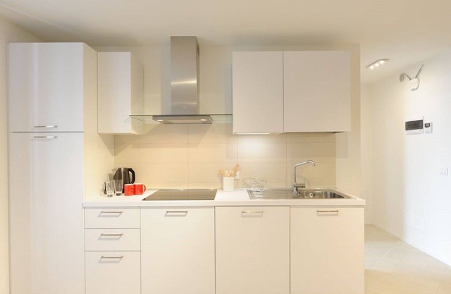 HISTORICAL CENTER BEAUTIFUL HOLIDAY LEMON ~ 1 bedroom app