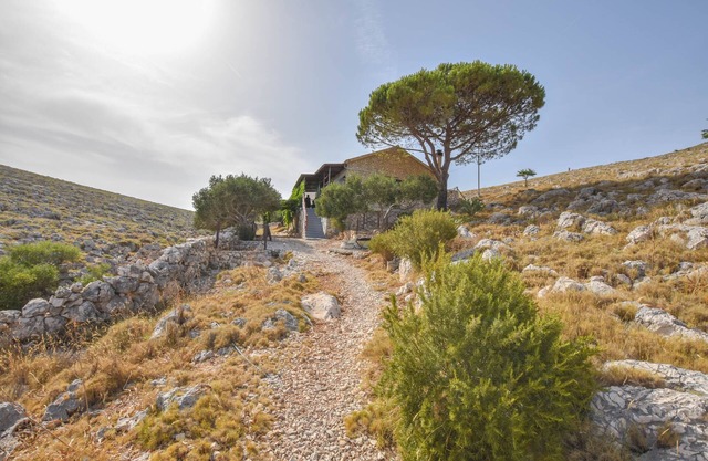 House Mandica (57701-K1) - Uvala Lopatica - island Kornat